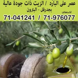 Local Olive Oil Press - Zgharta