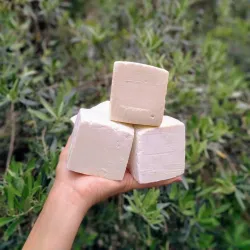 Local Olive Oil Press - Zgharta