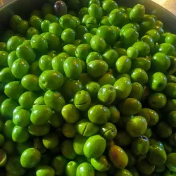 Local Olive Oil Press - Zgharta