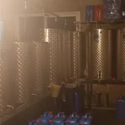 Local Olive Oil Press - Zgharta