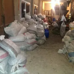 Local Olive Oil Press - Zgharta