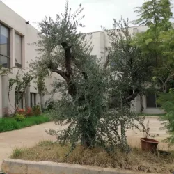 Zgharta Cultural Center - Zgharta