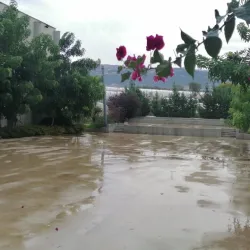 Zgharta Cultural Center - Zgharta