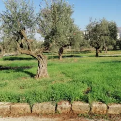 Zgharta Cultural Center - Zgharta