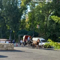 Zgharta Old Town - Zgharta
