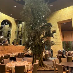 Local Lebanese Restaurants - Zouk Mikael
