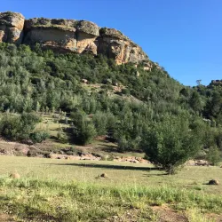 Berea Highlands - Teyateyaneng