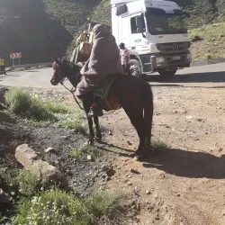 Moteng Pass - Teyateyaneng