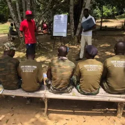 Sapo National Park (nearby) - Zwedru