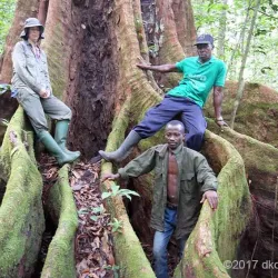 Sapo National Park (nearby) - Zwedru