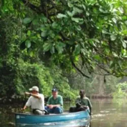 Sapo National Park (nearby) - Zwedru