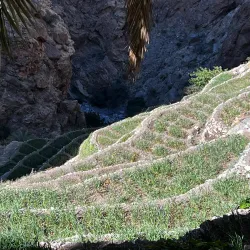Green Mountain (Jebel Akhdar) Scenic Viewpoints - Al Bayda