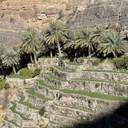 Green Mountain (Jebel Akhdar) Scenic Viewpoints - Al Bayda