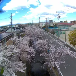 Al Kufrah Museum - Al Kufrah