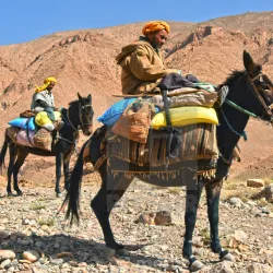 Camel Trekking Tours - Al Kufrah