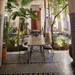 Camel Trekking Tours - Al Kufrah