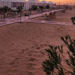 Camel Trekking Tours - Al Kufrah