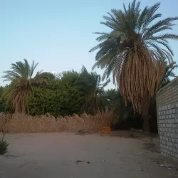 Tazirbu Fortress - Al Kufrah