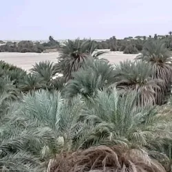 Tazirbu Fortress - Al Kufrah