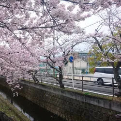 Traditional Libyan Cuisine Experiences - Al Kufrah