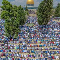 Al Qubbah Mosque - Al Qubbah