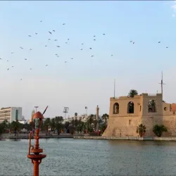 Al Qubbah Museum - Al Qubbah