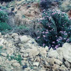 Mediterranean Coastal Walks - Derna (Darnah)