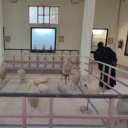 Historical Residential Areas - Janzour