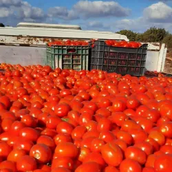 Janzour Old Market (Souq) - Janzour