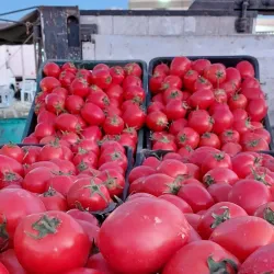 Janzour Old Market (Souq) - Janzour