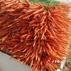 Janzour Old Market (Souq) - Janzour