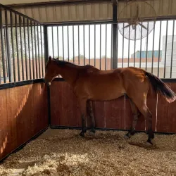 Nearby Desert Excursions - Marādah