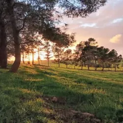 Al Marj Market - Marj