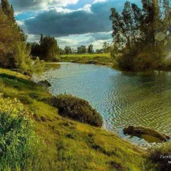 Al Marj Market - Marj