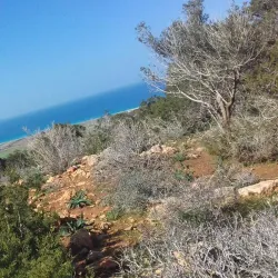 Mediterranean Coastline near Marj - Marj