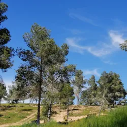 Nearby Natural Landscapes - Tarhuna (Tarhunah)