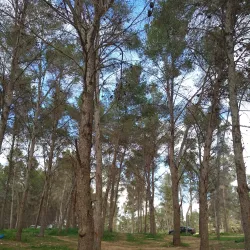 Nearby Natural Landscapes - Tarhuna (Tarhunah)