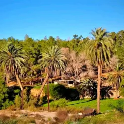 Traditional Libyan Cuisine Experiences - Tarhuna (Tarhunah)