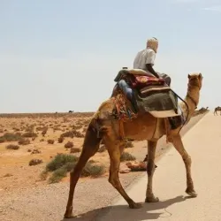 Mediterranean Coastline - Zliten