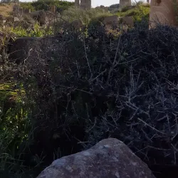 Roman Ruins of Zliten - Zliten