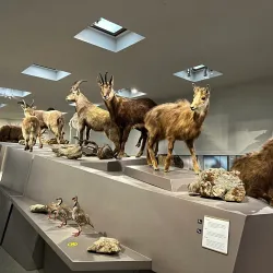 Liechtenstein National Museum (nearby) - Balzers