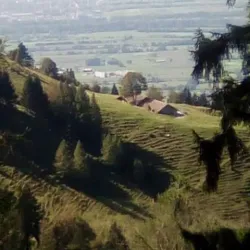 Liechtenstein Trail - Planken