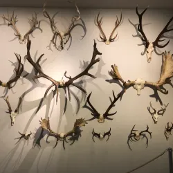 Liechtenstein National Museum (nearby in Vaduz) - Ruggell