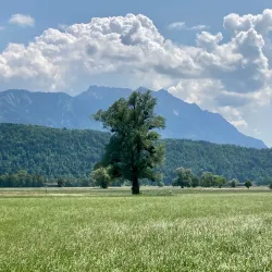Rhine River Walks - Ruggell