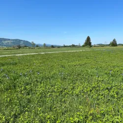 Ruggeller Riet Nature Reserve - Ruggell