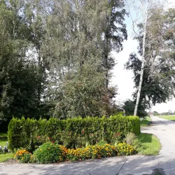 Traditional Farmhouses - Ruggell