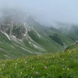 Alpine Panorama Trail - Triesen