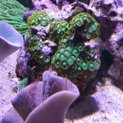 Triesen Village Center - Triesen