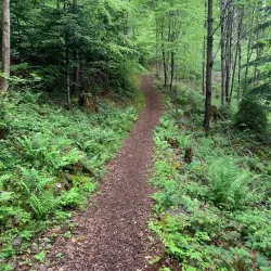 Triesenberg Hiking Trails - Triesen