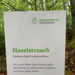 Triesenberg Hiking Trails - Triesen